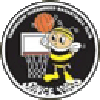 https://img.zzfgp.com/img/basketball/team/e416830f4083698237c559f8988ddb25.png