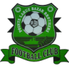 https://img.zzfgp.com/img/football/team/74a62b647e358e0531d376af7ab679fd.png