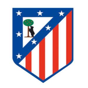 https://img.zzfgp.com/img/football/team/a65e111e5483b52fc721be46f19f4982.png