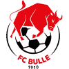 https://img.zzfgp.com/img/football/team/b201265fa89720bf8cd8ef95549a4738.png