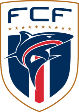 https://img.zzfgp.com/img/football/team/b78fbb9123ed9633ac77215960a8a7b3.png