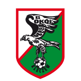 https://img.zzfgp.com/img/football/team/e6a8908dd206e2ea02d9803c82c60bba.png